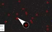 赤丸がすばる望遠鏡のプロジェクトで発見されたクエーサー=NAOJ/HSC Collaboration提供の図をもとに東大が作成