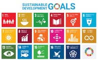 SDGsは30年までの達成を目指すもの。17のゴール（目標）が掲げられている