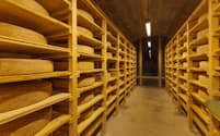 美瑛ファームでは４種類の牛から搾った生乳でチーズを作る