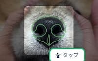 イヌの鼻紋の写真とともに、飼い主の情報を登録する