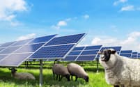 町おこしエネルギーは、北海道白糠町で太陽光発電と酪農を組み合わせた新たなビジネスモデルを模索する（イメージ）