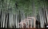 美しく整備された竹林や竹のオブジェのライトアップを楽しめる（18日、宇都宮市）