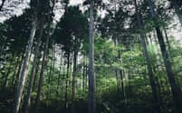 アサヒグループホールディングスは社有林「アサヒの森」で作り出す水の量が日本国内ビール工場の水使用量を上回っている