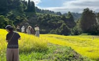 「棚DAO」を立ち上げた新潟県十日町市の池谷・入山集落