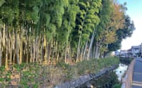 里山だった雑木林など「埼玉の原風景」をとどめる（12月、埼玉県川口市）