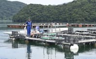 IoTセンサーを活用して最適な環境を導き出すスマート漁業の実証実験（京都府舞鶴市）