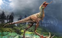 肉食恐竜のティラノサウルスたちは、成長して大型の獲物を仕留めるようになるまで、このゴルゴサウルスの子どものように小型の獲物を狩り、肉厚な部分を選んで食べていたことが、新たな研究で明らかになった。（ILLUSTRATION BY JULIUS CSOTONYI, ROYAL TYRRELL MUSEUM OF PALAEONTOLOGY）