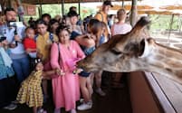 バンコク近郊の「サファリワールド」でキリンに餌をやるインド人観光客