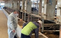 グループの国内の牛舎でベトナム人獣医を指導する上村社長㊧