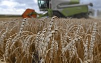 政府は米穀や小麦などの安定供給に備える＝ロイター