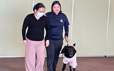 日本盲導犬協会などが主催した盲導犬利用者受け入れの研修（1月、千葉県館山市）