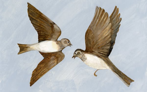 イラスト・西 淑