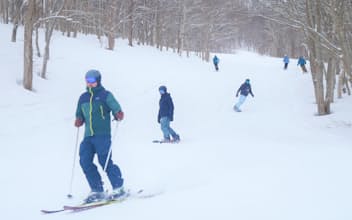 欧米などからスキーヤーが多く訪れ北海道のスノーリゾートは好調だった（2月、北海道岩内町）