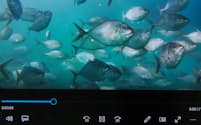 いけすの魚を動画で撮影し、資産価値を算定する「魚体鑑定システム」