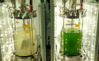 微細な藻でCO2を固定化する技術などを開発へ
