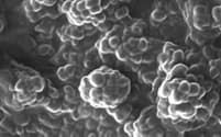 細胞シートに血管ができるのを促進する微粒子を開発した（電子顕微鏡写真）＝慶応大学の長瀬准教授提供