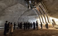 鹿島が公開した「CUCO-SUICOM（クーコスイコム）ドーム」の内部。2025年の大阪・関西万博に向けて、東京都調布市の技術研究所に隣接する敷地に試験施工した（写真：日経クロステック）
