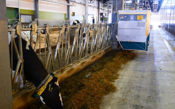 畜産フィールド科学センターの牛舎内の自動エサやり機（3月、北海道帯広市）