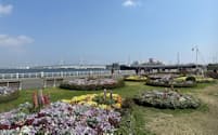 横浜市のイベント「ガーデンネックレス横浜」は、６月上旬まで季節ごとの花を楽しめる