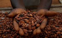 FILE PHOTO: A farmers holds cocoa beans while he is drying them at a village in Sinfra, Ivory Coast April 29, 2023. REUTERS/Luc Gnago/File Photo
