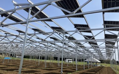 千葉商科大学は営農型太陽光発電所を新設