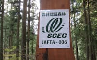 緑の循環認証会議・SGECの認証を受けた森林。生態系などに配慮している（栃木県鹿沼市、画像提供＝髙見林業）