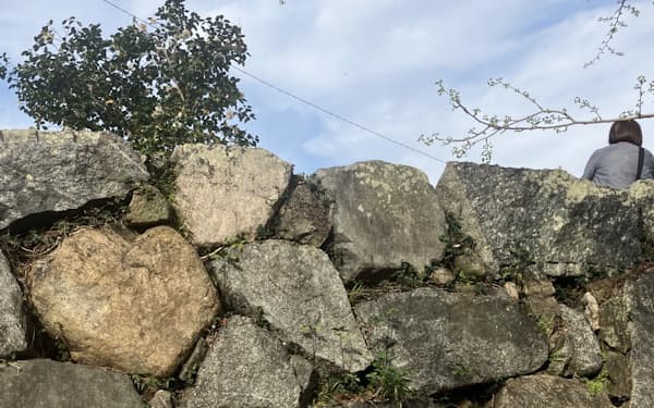 石垣にあるハート形の石は、周囲の石と比べ色合いが異なる