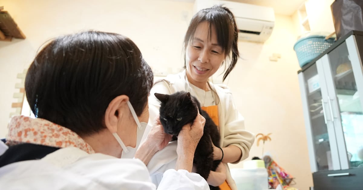 ペットの「飼育放棄」避けたい　預け先探し支援の動きも　シニアサポーター - 日本経済新聞