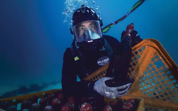 「オーシャン・シグニチャー」はワインボトルを海中に沈め、1年かけて熟成する=レアフーズ・オーストラリア提供