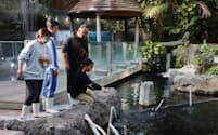 なかがわ水遊園では魚へのえさやりや水槽掃除を体験できるイベントを開催している（19日、栃木県大田原市）
