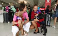 乗客エリアに搭乗できるのは小型の犬や猫などに限られる＝ヴァージン・オーストラリア航空提供