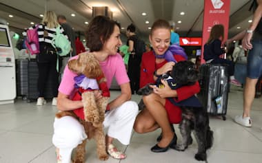 乗客エリアに搭乗できるのは小型の犬や猫などに限られる=ヴァージン・オーストラリア航空提供