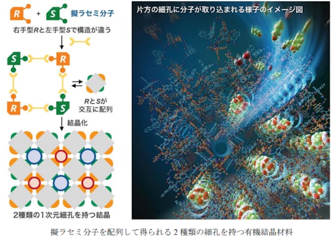 2種類の細孔を持つ有機結晶材料の開発 ~右手分子と左手分子を配列することで新材料を創製~ 2種類の細孔を持つ有機結晶材料の開発 ~右手分子と左手分子を配列することで新材料を創製~