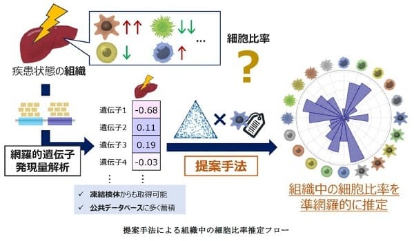 組織中の細胞種の比率を準網羅的に推定するアルゴリズムを開発~遺伝子発現量を言葉に見立てた潜在変数モデルの効果的な活用~ 組織中の細胞種の比率を準網羅的に推定するアルゴリズムを開発~遺伝子発現量を言葉に見立てた潜在変数モデルの効果的な活用~
