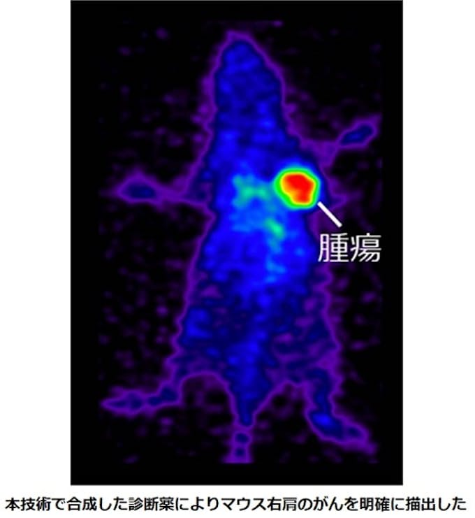 放射性診断薬の新規合成法を開発~より信頼性の高い標的アイソトープ治療を目指して~ 放射性診断薬の新規合成法を開発~より信頼性の高い標的アイソトープ治療を目指して~