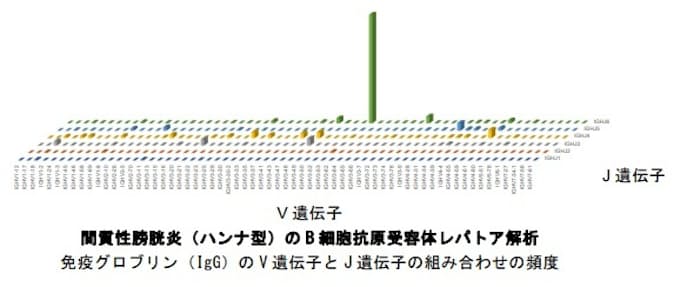 指定難病 間質性膀胱炎(ハンナ型)のB細胞異常発生メカニズムを解明~浸潤B細胞のクローン性拡大に関与する因子を同定~ 指定難病 間質性膀胱炎(ハンナ型)のB細胞異常発生メカニズムを解明~浸潤B細胞のクローン性拡大に関与する因子を同定~