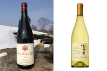 日本ワインは海外からの評価が高まっている