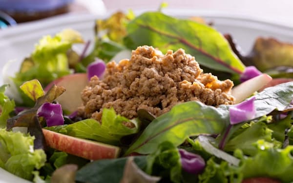 スタートアップのアグロルーデンスが獨自の発酵技術で作った「マイコプロテイン」(寫真=Agro Ludens提供)