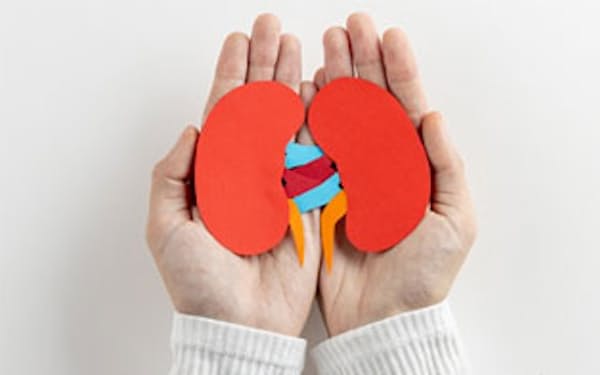 腎機能低下はたんぱく質摂取と関係?