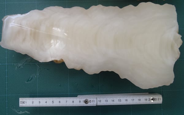 石筍に閉じ込められていた微量な雨水を調べて分かった=名大の植村准教授提供