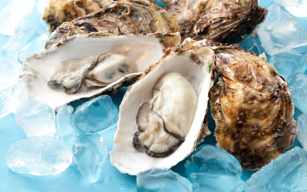 (写真=ykokamoto/stock.adobe.com)