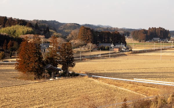 屋敷林に囲まれた建物が点在する散居村の風景。刈り取られたあとの稲が、夕日で黄金色に輝く=三浦秀行撮影