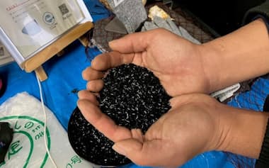 廃漁網から再生したプラスチック(長崎県平戸市の舘浦漁協)