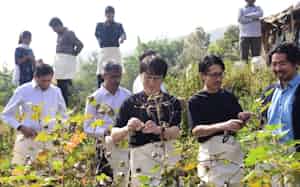 スタイレム瀧定大阪はインドの農家と契約しオーガニックコットンを栽培している=同社提供 スタイレム瀧定大阪はインドの農家と契約しオーガニックコットンを栽培している=同社提供