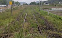 運休が続き雑草に覆われている美祢線の線路(5月、山口県美祢市)