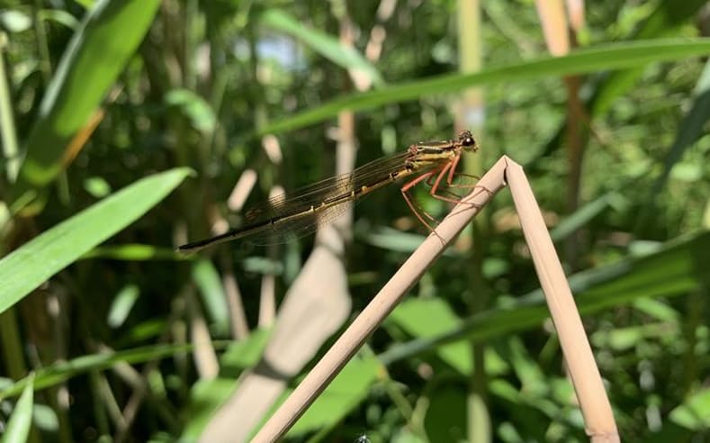 画像が削除されました