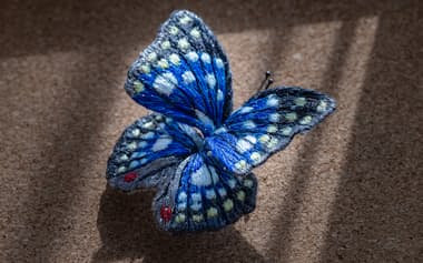 「現代の名工」に選ばれた北井小夜子さんのチョウ