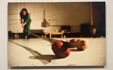 料理番組にならって手元を強調した初期作品「cooking show」(2005/2006年)