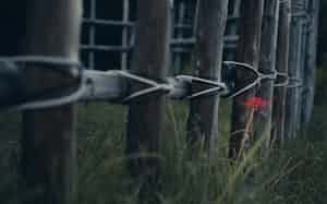 多くの兵たちの血が流れた設楽原決戦場跡に、真っ赤な彼岸花が咲いている=井埜慎太郎 多くの兵たちの血が流れた設楽原決戦場跡に、真っ赤な彼岸花が咲いている=井埜慎太郎