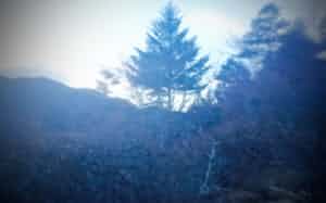 王秉蒼 写真 王秉蒼 写真